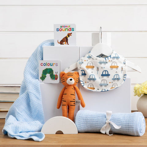 Blankie and Books Baby boy Hamper