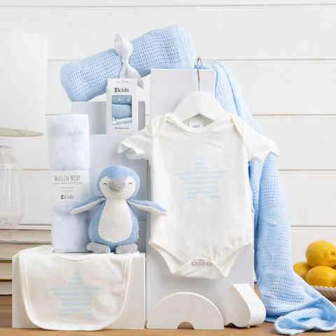 Welcome Baby Boy Hamper