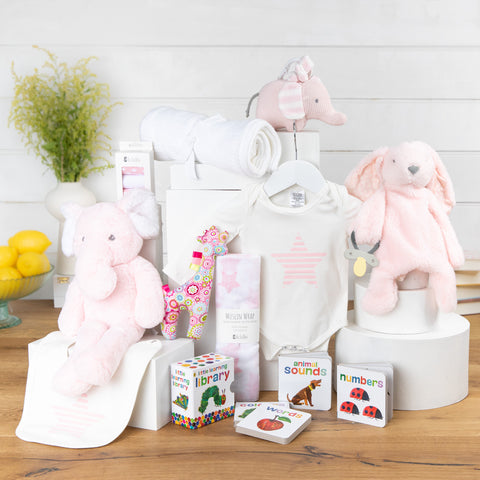 Baby Bundle Baby Girl Gift Basket