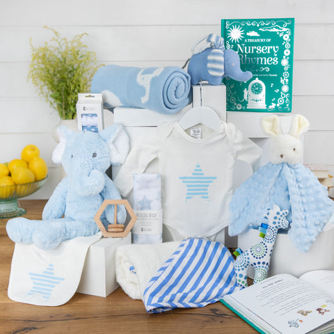 Elephant Snuggles Baby Boy Hamper