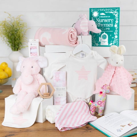 Elephant Snuggles Baby Girl Hamper