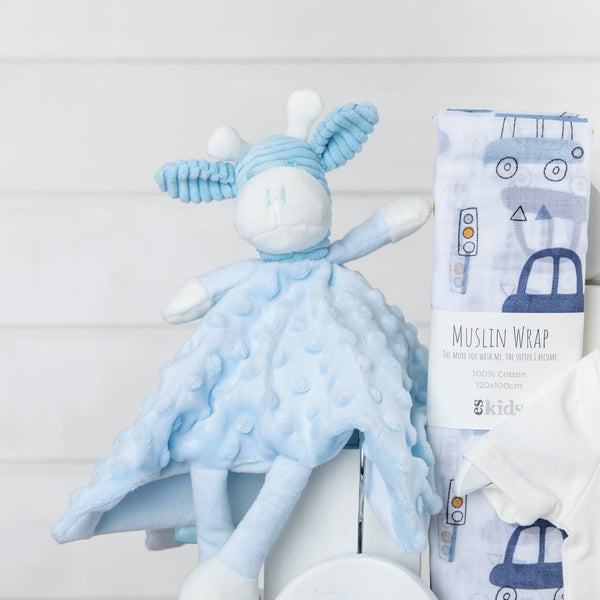 Perfect Pair Twins Baby HamperPerfect Pari Twins Baby Hamper - Twins Baby Gift