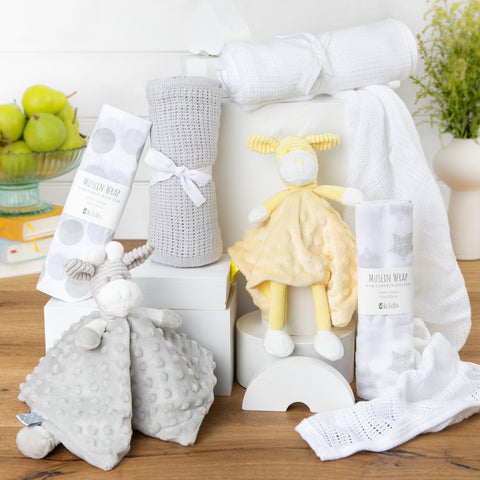 Twins Classic Unisex Baby Hamper