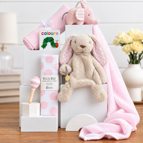 Baby Girl Hamper - Cute Beginnings Baby Girl Gift Basket - Newborn Hamper
