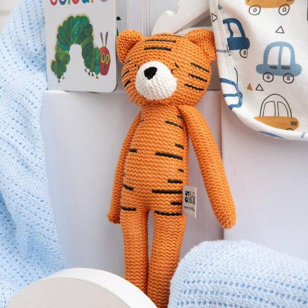 Blankie and Books Baby boy Hamper