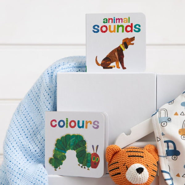 Blankie and Books Baby boy Hamper