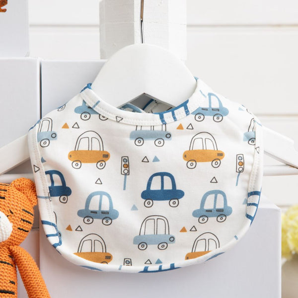 Blankie and Books Baby boy Hamper