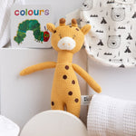 Blankie and Books unisex baby Hamper