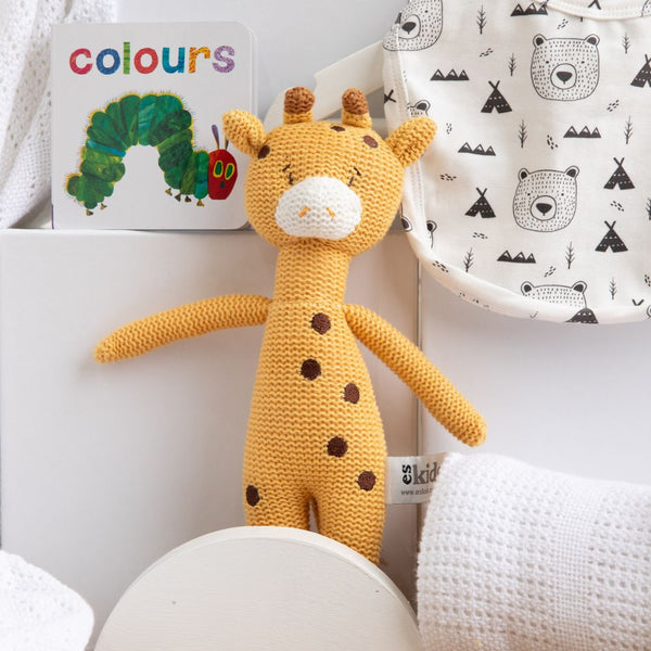 Blankie and Books unisex baby Hamper