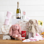 Bubbly Baby Girl Gift Hamper
