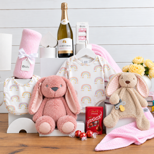 Bubbly Baby Girl Hamper - Infant Hamper - Newborn Hamper