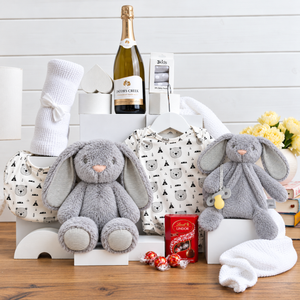 Unisex Bubbly baby hamper - infant hamper - new mum gift