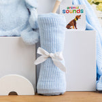 Personalised Bunny and Books Baby Boy Hamper
