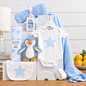 Welcome Baby Boy Hamper - Infant Hamper
