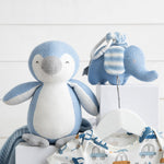 Complete Package Baby Boy Hamper - Baby Gift