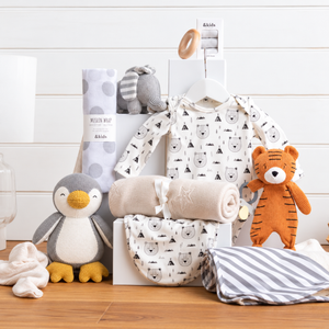 Complete Package Unisex Baby Hamper