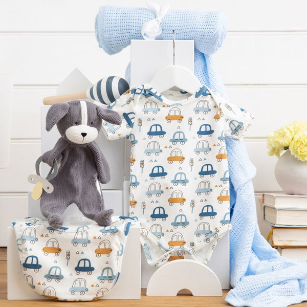 Cozy Cuddles Baby Boy Hamper