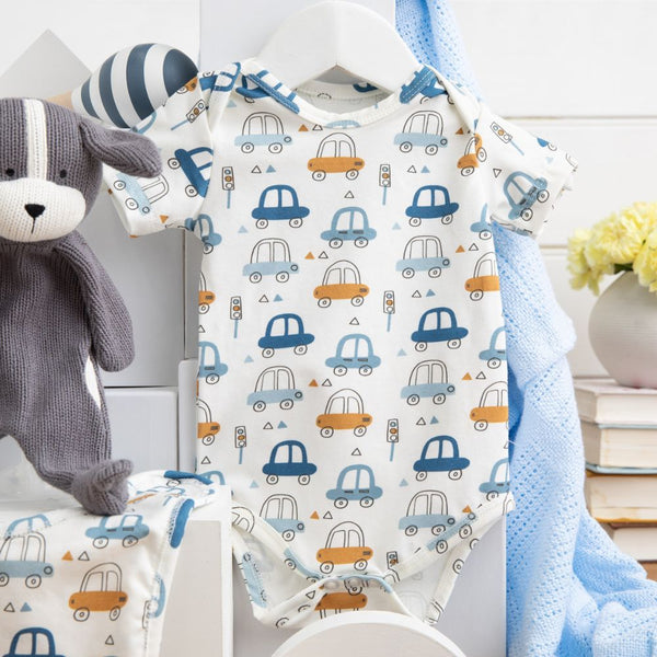 Cozy Cuddles Baby Boy Hamper - Baby gift