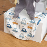 Cozy Cuddles Baby Boy Hamper