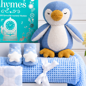 Double Trouble Baby Hamper - Twin Boy Gift