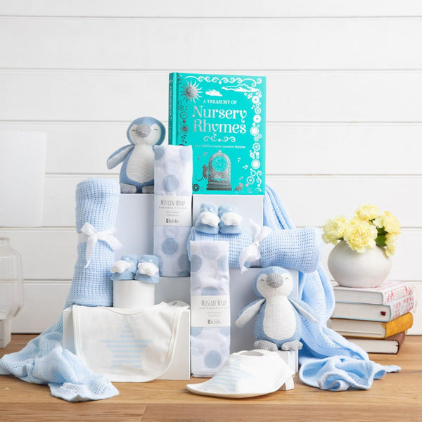 Double Trouble Twins Baby Hamper
