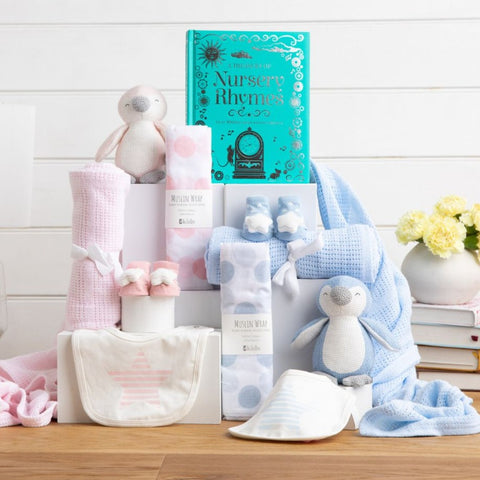 Double Trouble Twins Baby Hamper
