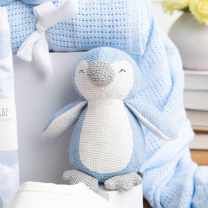 Two Little Rascals Twins Baby Hamper