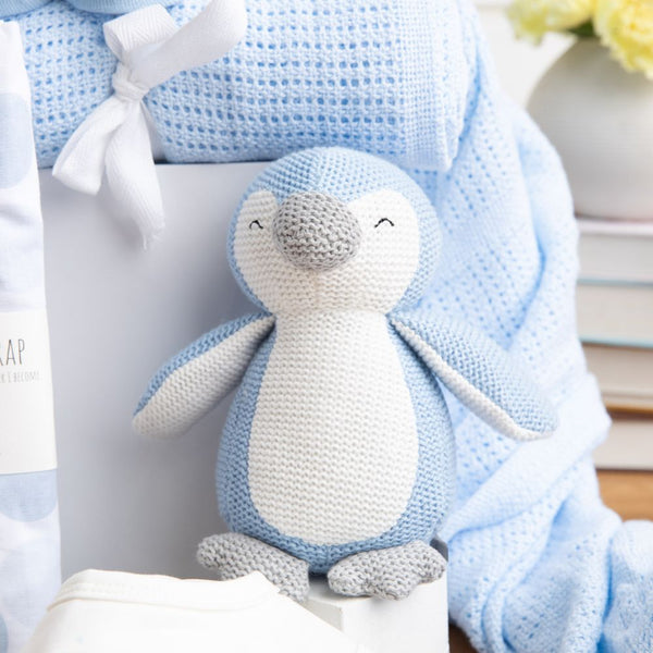 Two Little Rascals Twins Baby Hamper