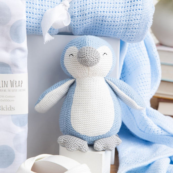 Double Trouble Twins Baby Hamper