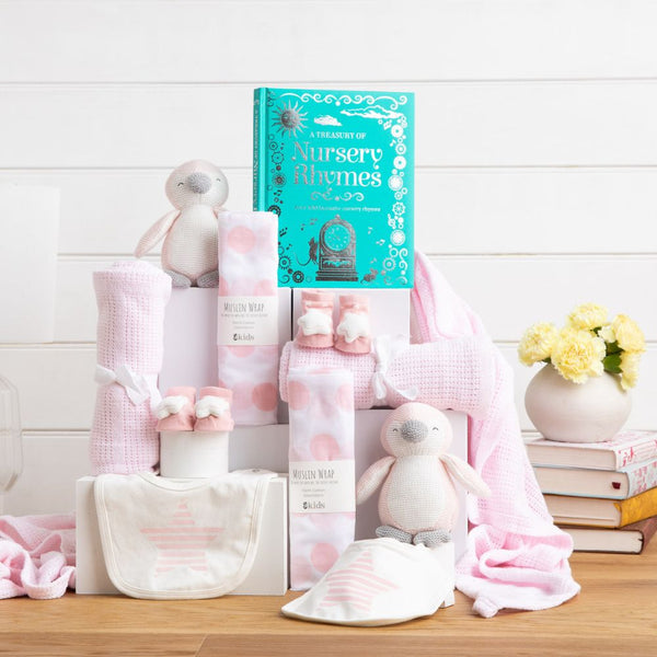 Double Trouble Twins Baby Hamper