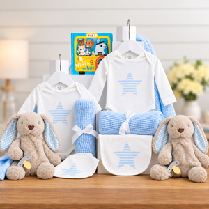 Dynamic Duo Twins Baby Boy Hamper - Twin Boy Gift Basket