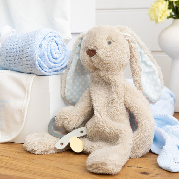 Dynamic Duo Twins Baby Hamper - Twins Gift