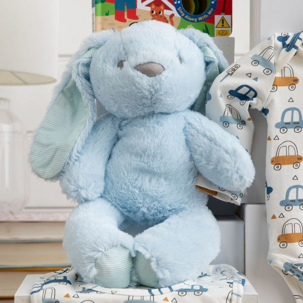 Fluffy Bunny Cuddles Baby Boy Gift Hamper