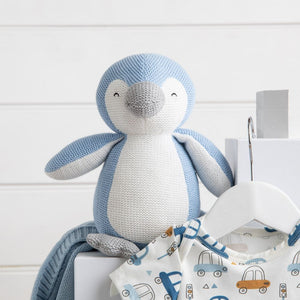 Knitted Classic Baby Boy Hamper - Baby Gift