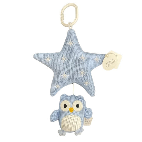 Knitted Musical Owl Pull-Down - Blue