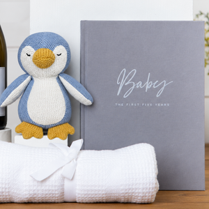 Penguin Keepsake Baby Boy Gift