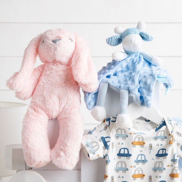 Personalised Perfect Pair Twins Baby Hamper - Twins Gift