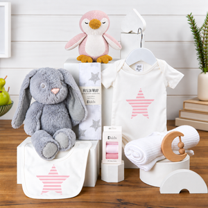 Infant Hamper | Maternity Gift | Precious Cargo Girl Baby Hamper