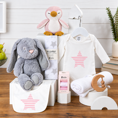 Baby Hamper | Maternity Gift |Precious Cargo Girl Baby Hamper