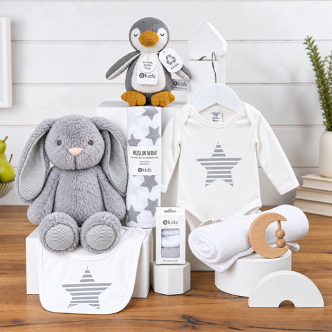 Precious Cargo Baby Hamper | Infant Hamper | Baby Shower Gift