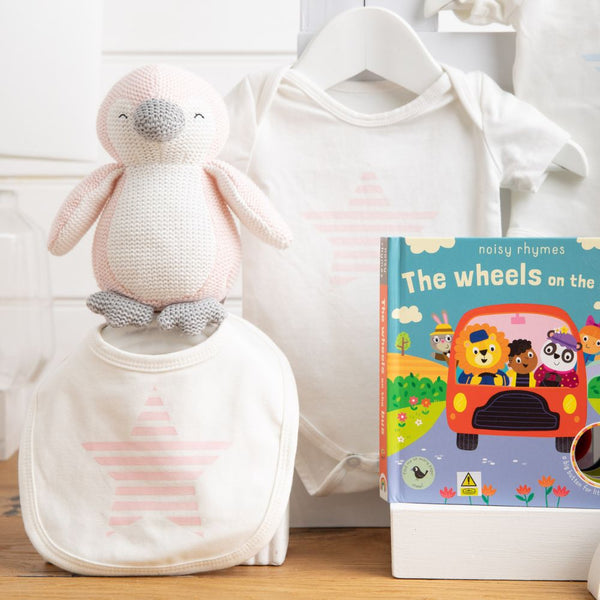 Two Little Rascals Twins Baby Hamper