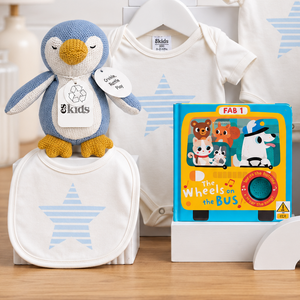 Twin Boy Hamper - Two Little Rascal Twin Boy Baby Basket