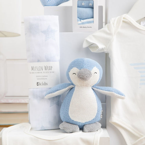 Welcome Baby Boy Hamper
