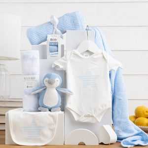 Welcome Baby Boy Hamper