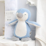 Welcome Baby Boy Hamper