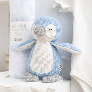 Welcome Baby Boy Hamper