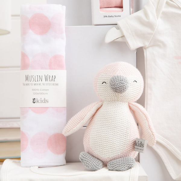 Welcome Baby Girl Gift Hamper
