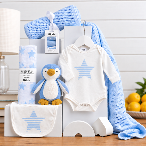 Welcome Baby Boy Basket - Baby gift delivery