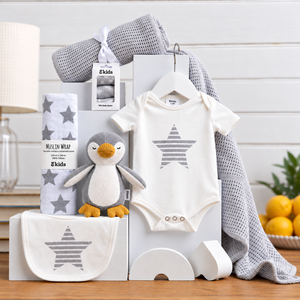 Welcome baby gift basket | Baby shower gift gender neutral