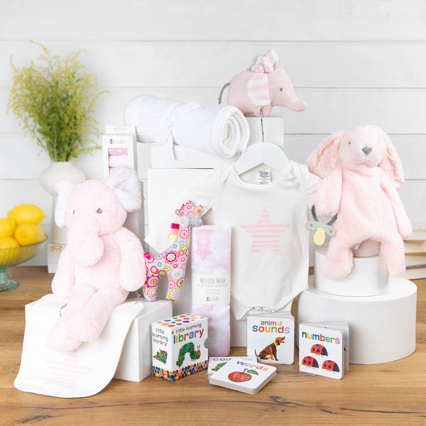 Baby Bundle Baby Girl Gift Basket